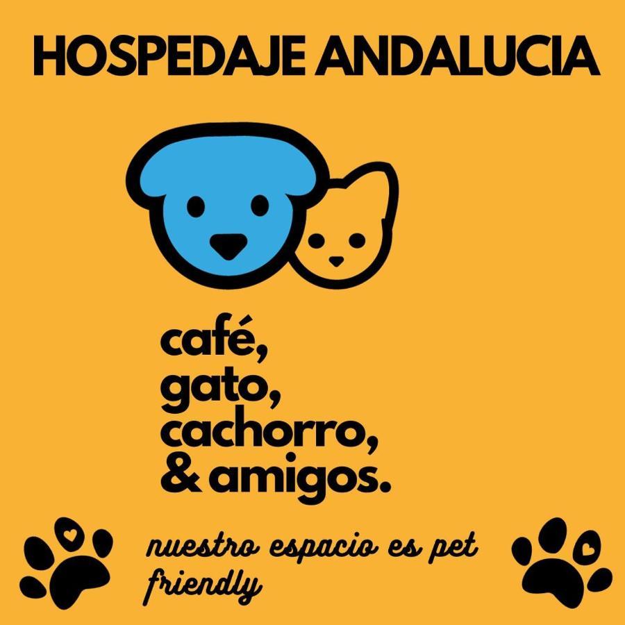 Hostel Casa Andalucia Florianópolis Exterior foto